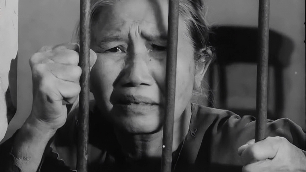 ảnh poster phim Tướng Về Hưu