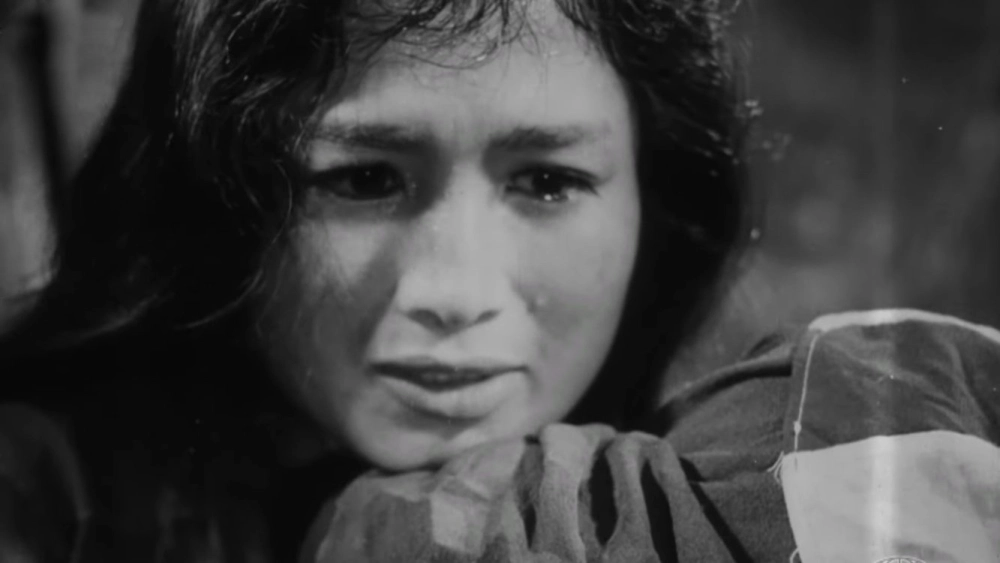 ảnh poster phim Vĩ Tuyến 17 Ngày Và Đêm