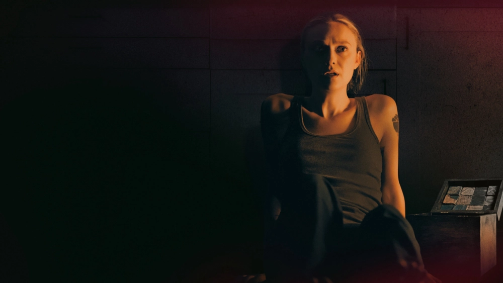 ảnh poster phim Vicious