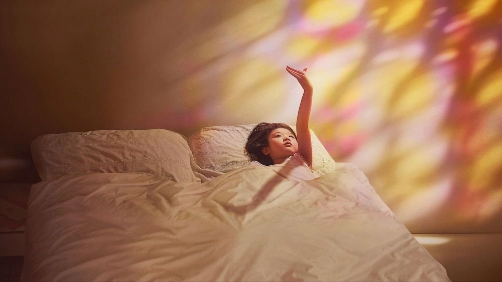 ảnh poster phim Cô Gái Tay Chiêu