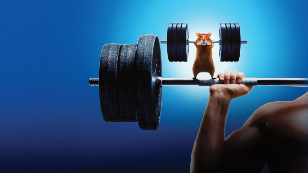 ảnh poster phim Con Người Đấu Với Hamster