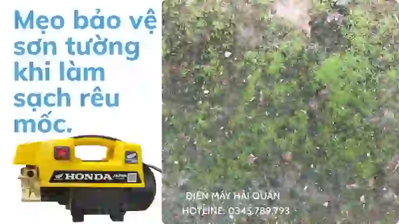 Mẹo bảo vệ sơn tường khi vệ sinh rêu mốc