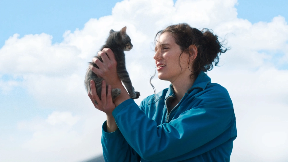 ảnh poster phim Xin Lỗi, Em Yêu