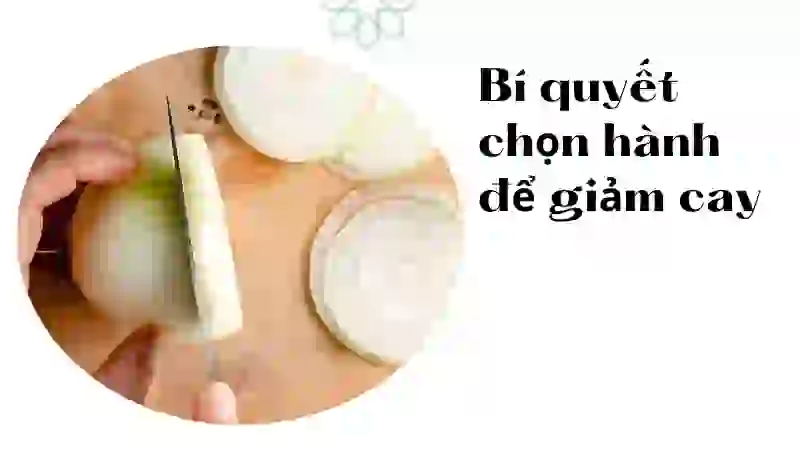Cách chọn củ hành tươi ngon để hạn chế tối đa việc bị cay mắt