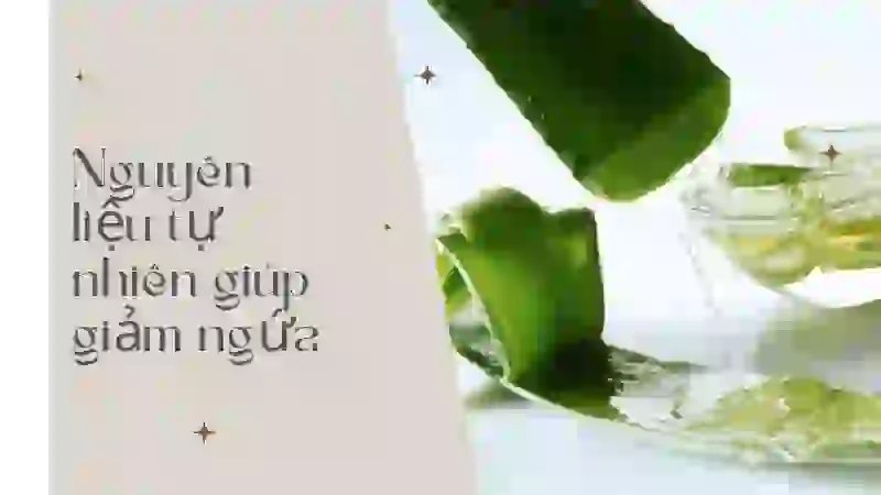 Gel nha đam tươi làm dịu vùng da bị ngứa và đỏ