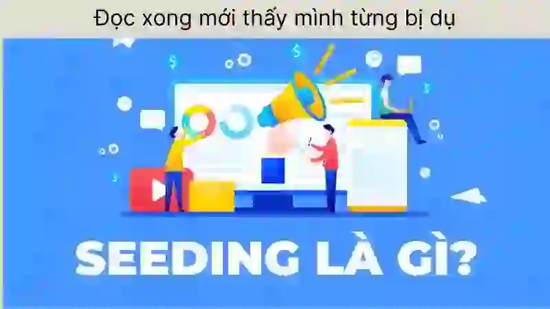 Seeding là gì? Định nghĩa đơn giản nhất cho newbie