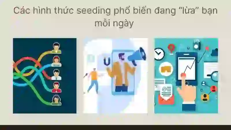 Các hình thức seeding phổ biến đang “lừa” bạn mỗi ngày 