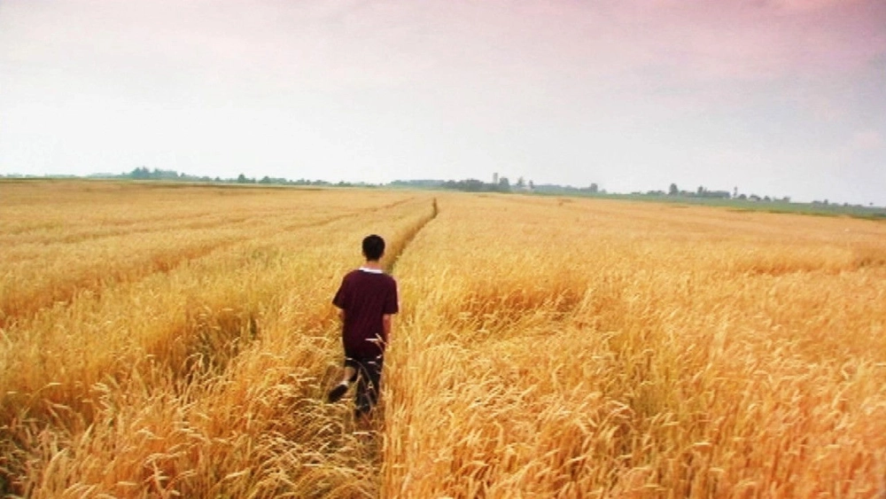 ảnh poster phim Tôi chỉ yêu người lạ