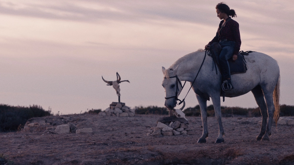 ảnh poster phim Animale