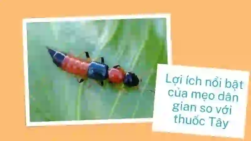 Lợi ích nổi bật của mẹo dân gian so với thuốc Tây