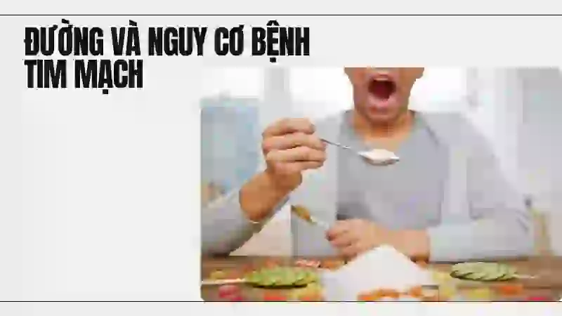 Nguy cơ bệnh tim mạch từ việc ăn nhiều đường