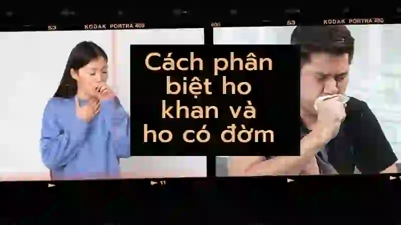 Bản chất và cơ chế khởi phát của cơn ho