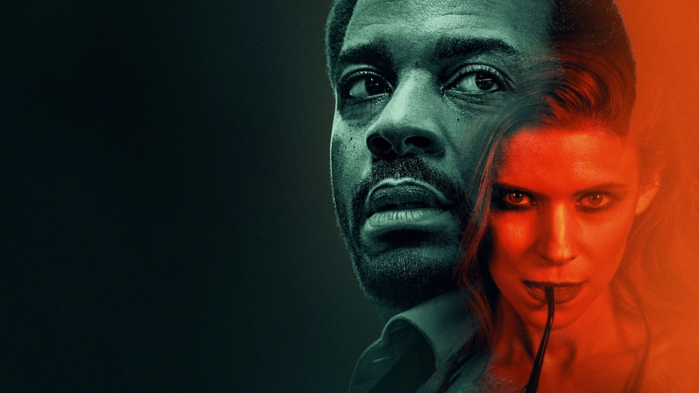 ảnh poster phim Con Gà và Nắm Thóc