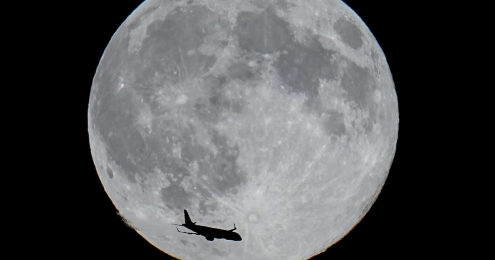 ảnh poster phim Tiệc Quái thú dưới ánh trăng