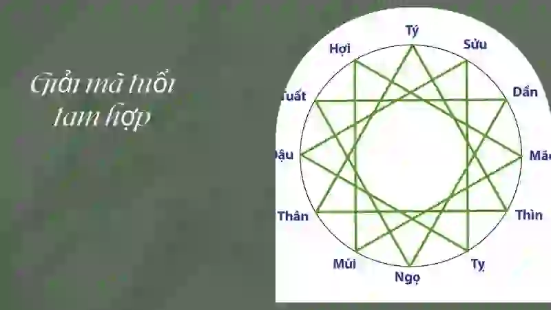 Khám phá tuổi tam hợp là gì để rước quý nhân