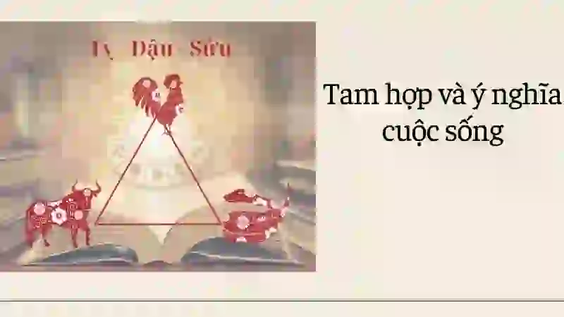Ý nghĩa của tuổi tam hợp trong hôn nhân, sự nghiệp