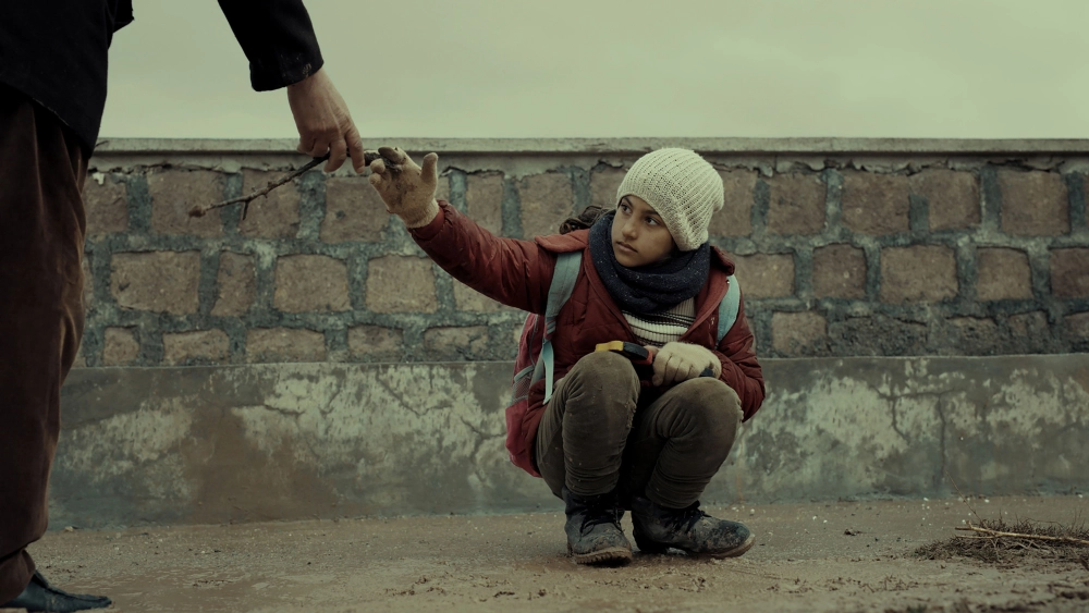 ảnh poster phim Đinh Hương Và Cẩm Chướng