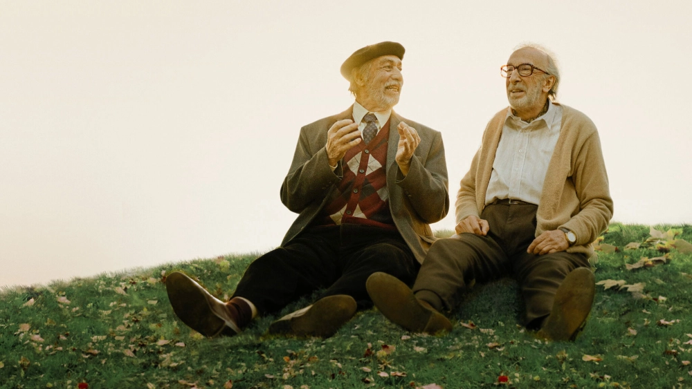 ảnh poster phim Người lạ ở công viên