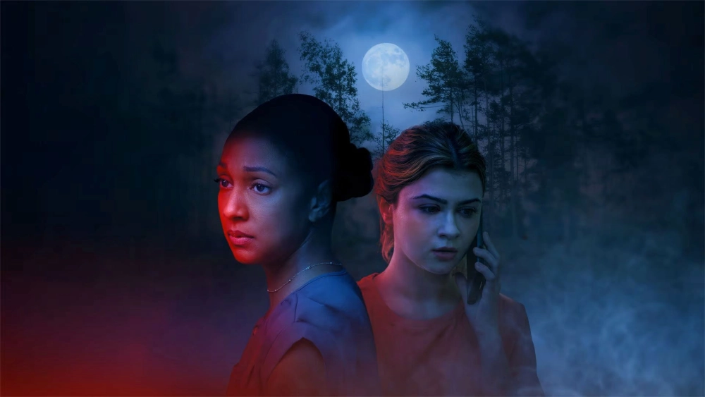 ảnh poster phim The Perfect Killer