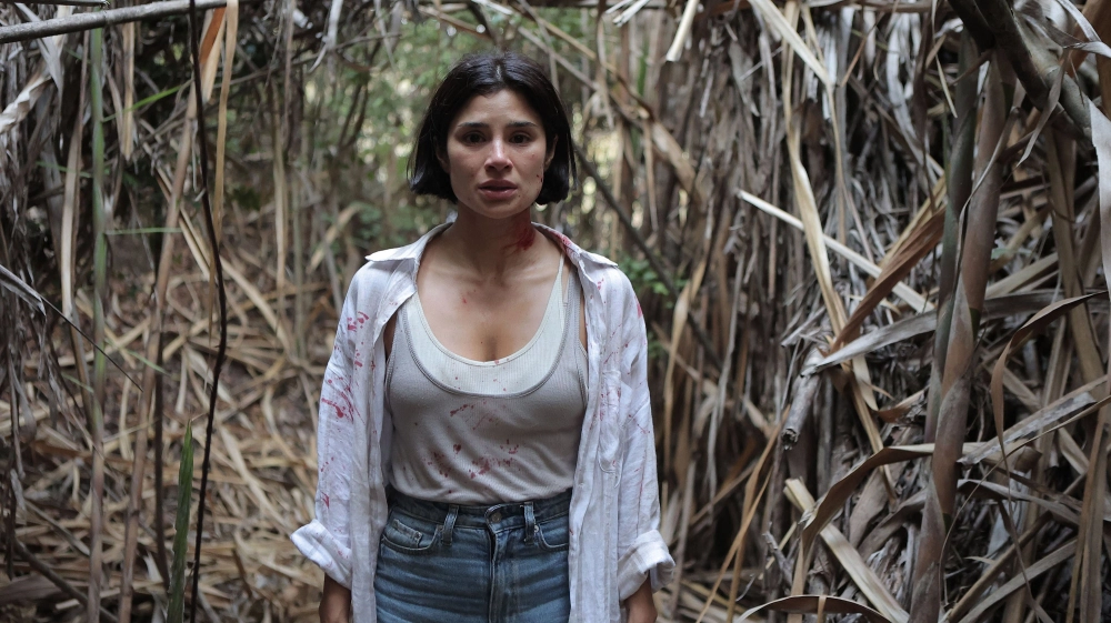 ảnh poster phim Kẻ Huýt Sáo