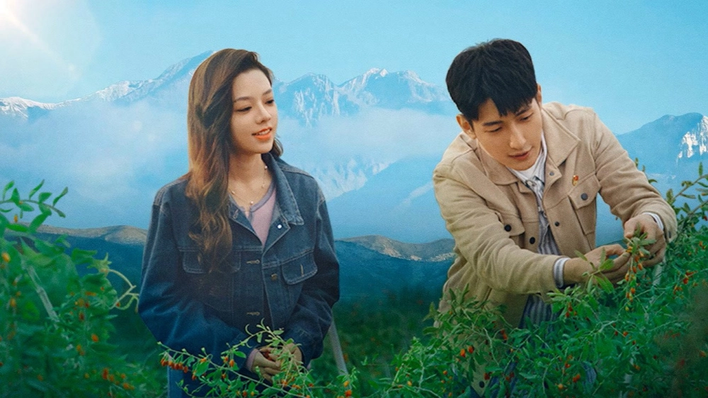 ảnh poster phim Tình Yêu Ở Bortala