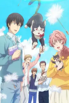 Bạn cùng phòng là mèo (My roommate is sometimes on my knees, sometimes on my head)