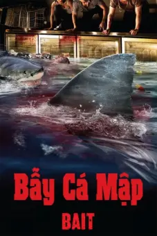 Bẫy Cá Mập (Bait)