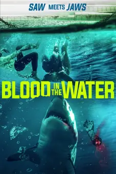 Cá Mập Dưới Nước (Blood in the Water)