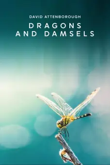 Loài Chuồn Chuồn (Dragons and Damsels)