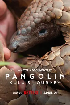 Loài tê tê: Hành trình của Kulu (Pangolin: Kulu's Journey)