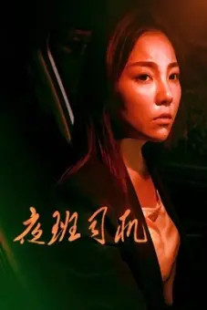 Người lái xe vào ca đêm (Driver on Night Shift)