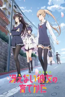 Saekano: Phương pháp đào tạo bạn gái (Saenai Heroine no Sodatekata)