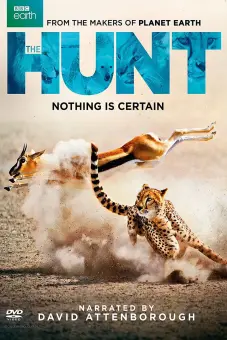 Săn Mồi (BBC: The Hunt)