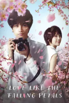 Tình yêu như cánh hoa rơi (Love Like the Falling Petals)