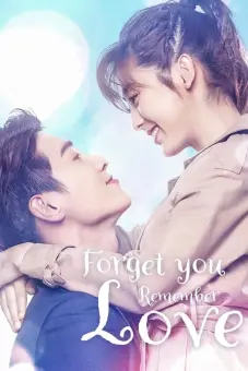 Dù Quên Em Vẫn Nhớ Rõ Tình Yêu (Forget You Remember Love)