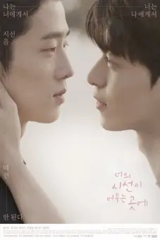 Nơi Ánh Nhìn Lưu Lại (Where Your Eyes Linger)