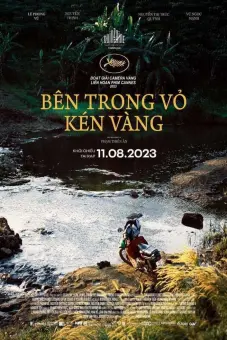 Bên Trong Vỏ Kén Vàng (Inside the Yellow Cocoon Shell)