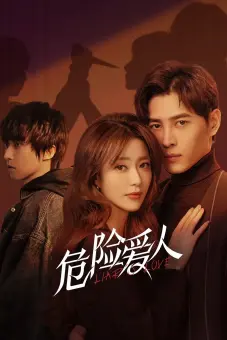 Người Tình Nguy Hiểm (Liar's Love)