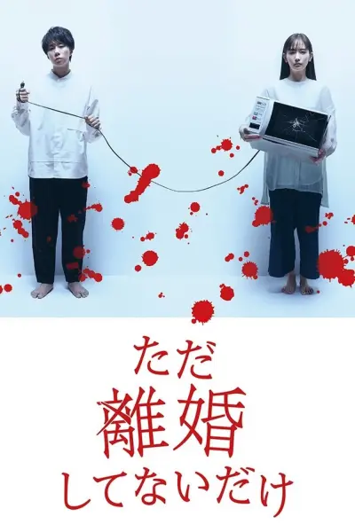 Chỉ Là Không Ly Hôn (We Are Just Not Divorced)