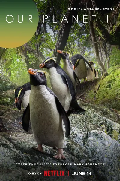 Hành Tinh Của Chúng Ta (Phần 2) (Our Planet (Season 2))