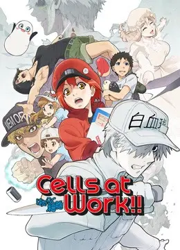 Khi Các Tế Bào Làm Việc (Phần 2) (Cells at Work! S2)