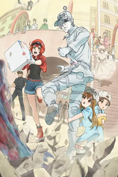 Khi các tế bào làm việc trong cơ thể (Cells at Work!)