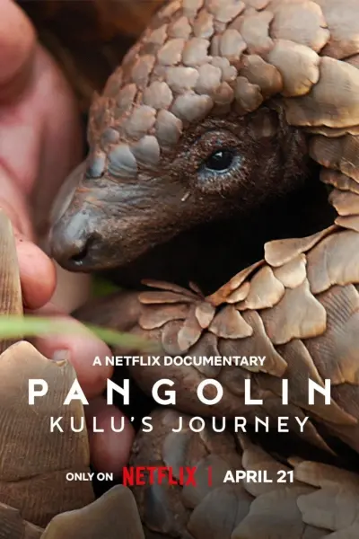 Loài tê tê: Hành trình của Kulu (Pangolin: Kulu's Journey)
