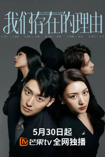 Lý Do Tồn Tại Của Chúng Ta (The Truth About Love)