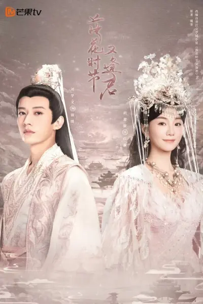 Mùa Hoa Rơi Gặp Lại Chàng (Love Never Fails)