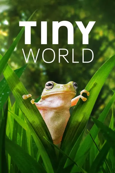 Thế Giới Siêu Nhỏ (Phần 2) (Tiny World (Season 2))