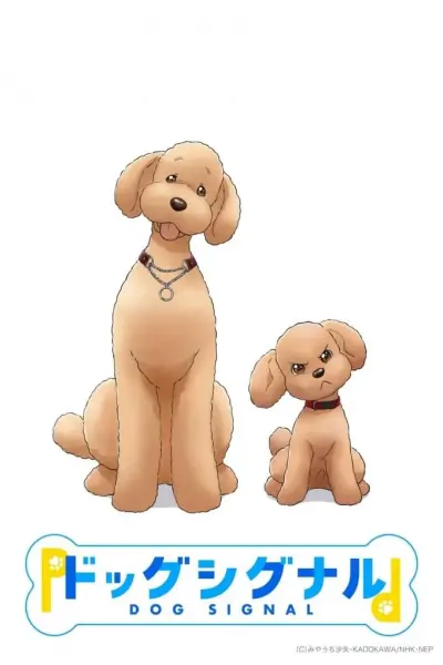 Tín Hiệu Cún Cưng (Dog Signal)