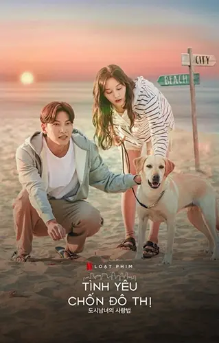 Tình Yêu Chốn Đô Thị (Lovestruck in the City)