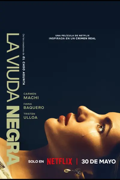 Trò Chơi Của Một Góa Phụ (A Widow's Game)