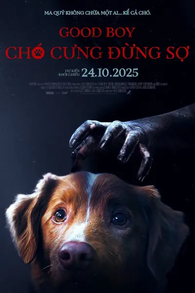 Chó Cưng Đừng Sợ (Good Boy)